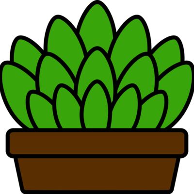 Succulent Plant Thumbnail