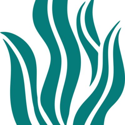 Sea Plants 6 Thumbnail